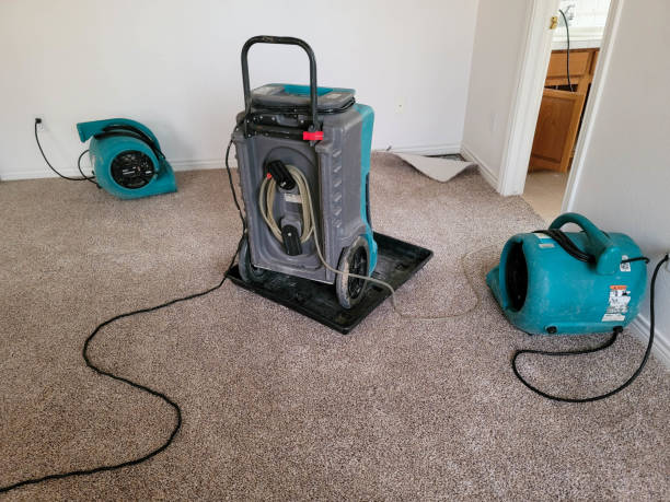 Best Sewage cleanup and water damage restoration  in Jackson, MO