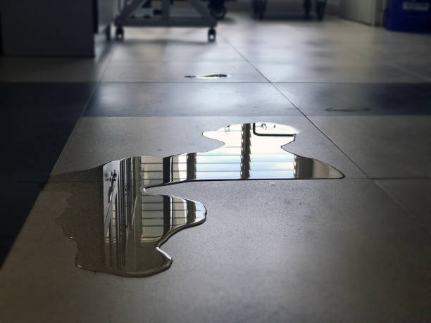 Best Water damage restoration near me  in Jackson, MO
