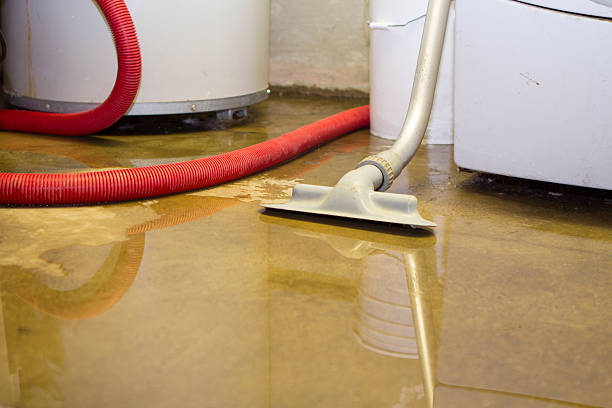 Best Emergency water damage restoration  in Jackson, MO