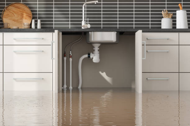 Best Residential water damage restoration  in Jackson, MO